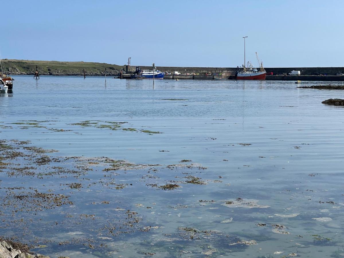 Lovely Apartment Overlooking The Harbour And Bay Ardglass Exteriör bild