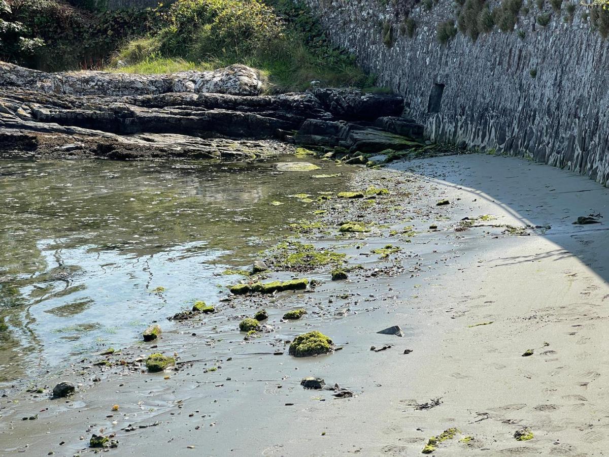 Lovely Apartment Overlooking The Harbour And Bay Ardglass Exteriör bild